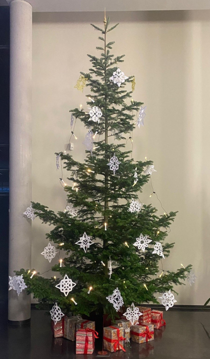 weihnachtsbaum.jpg